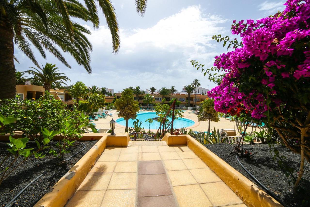 Apartment Apple Dunes With Pool Corralejo By Holidays Home Zewnętrze zdjęcie